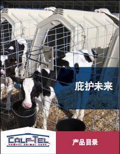 Informationen Download