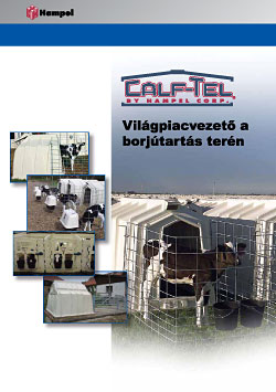 Informationen Download