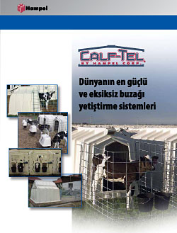 Informationen Download